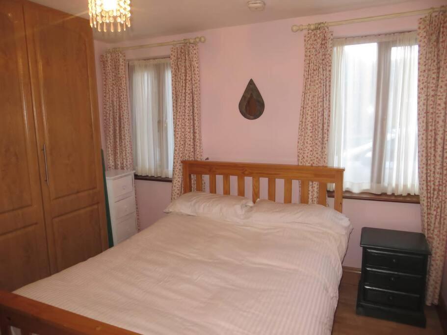 Borodino Studio Apartment Enniscorthy Eksteriør billede